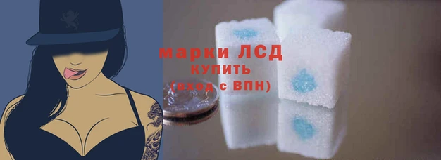 трава Арсеньев