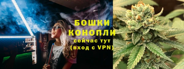 трава Арсеньев