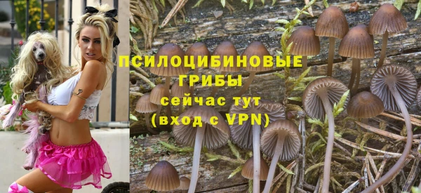 стафф Алексин