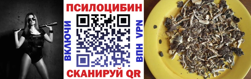 Галлюциногенные грибы ЛСД  магазин    Суровикино 